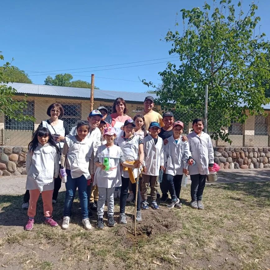 plantacion de arboles forestacion con escuelas